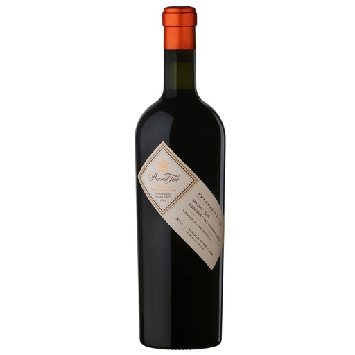 [EW-001086] Pascual Toso Finca Pedregal Single Vineyard Blend 750 ml