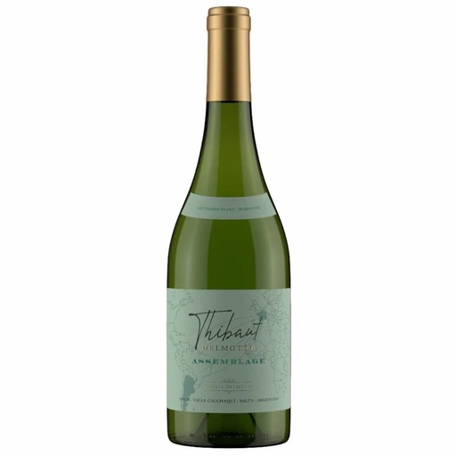 [EW-000304] Thibaut Delmotte Asemblage Blanco 750 ml