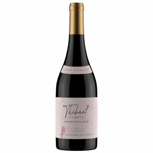 [EW-000305] Thibaut Delmotte Asemblage Tinto GSM 750 ml